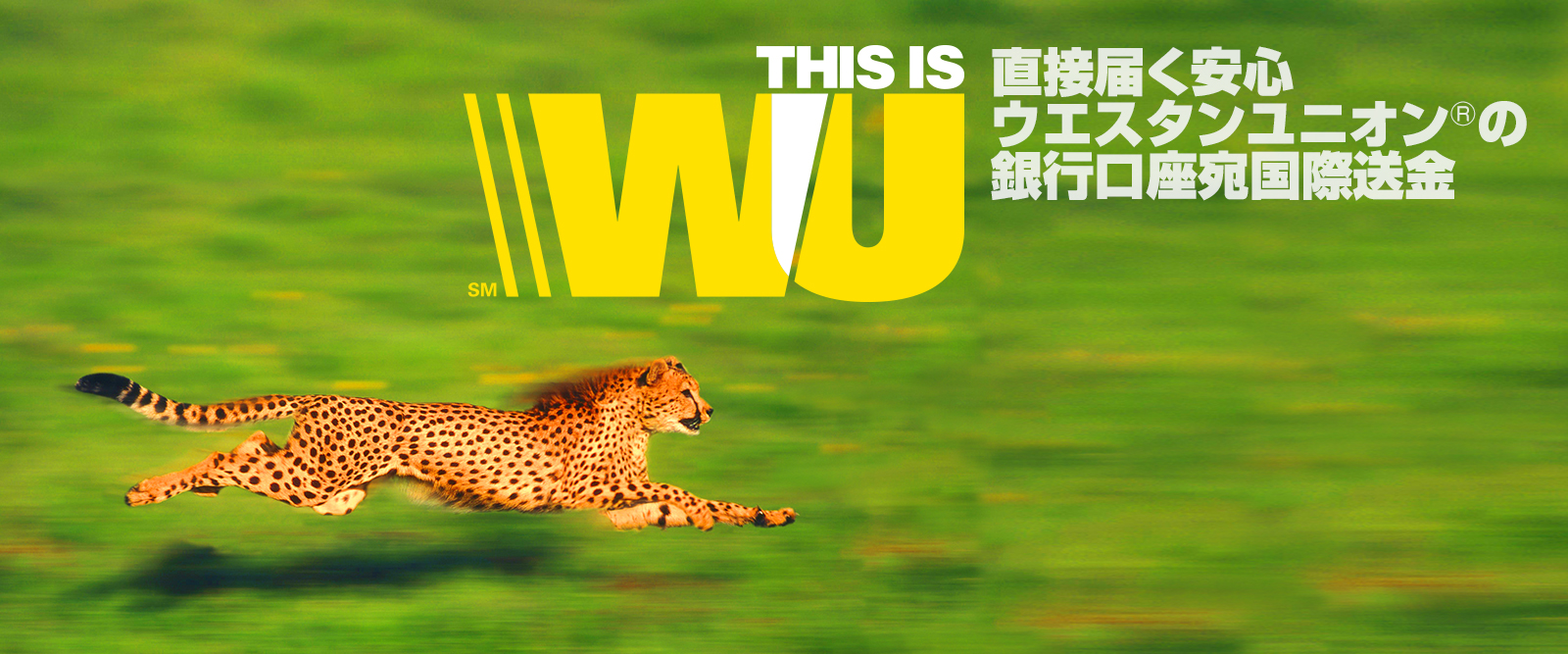 THIS IS WU 直接届く安心ウエスタンユニオン®の銀行口座宛国際送金